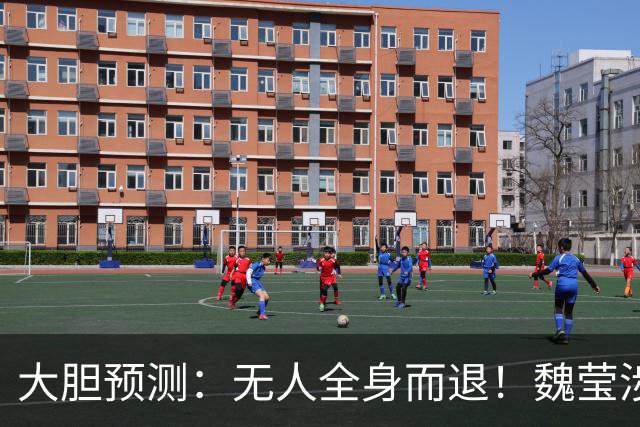 大胆预测：无人全身而退！魏莹涉诈骗、富商涉敲诈，两人都跑不了